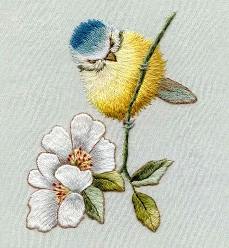 角色与皮肤展示